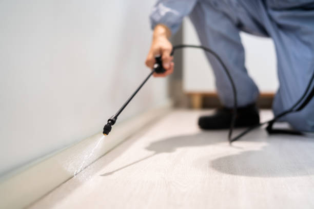 Licensed Cockroach Control service in Mercer County County, PA - Nex Pest Control